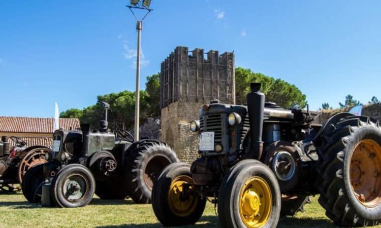 San Ginesio, torna il raduno dei trattori d'epoca: appuntamento al 18 luglio