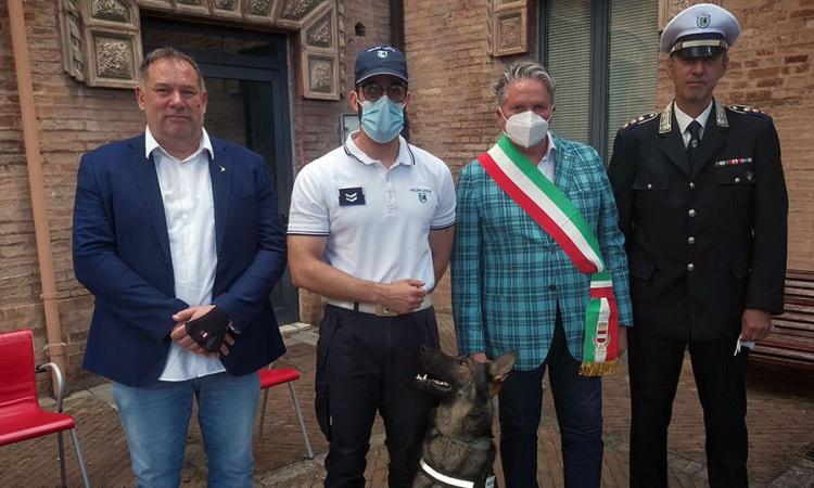 Tolentino, il pastore tedesco Billy al servizio dell'Unità cinofila: una nuova risorsa per la Polizia Locale Tolentino, il pastore tedesco Billy al servizio dell'Unità cinofila: una nuova risorsa per la Polizia Locale