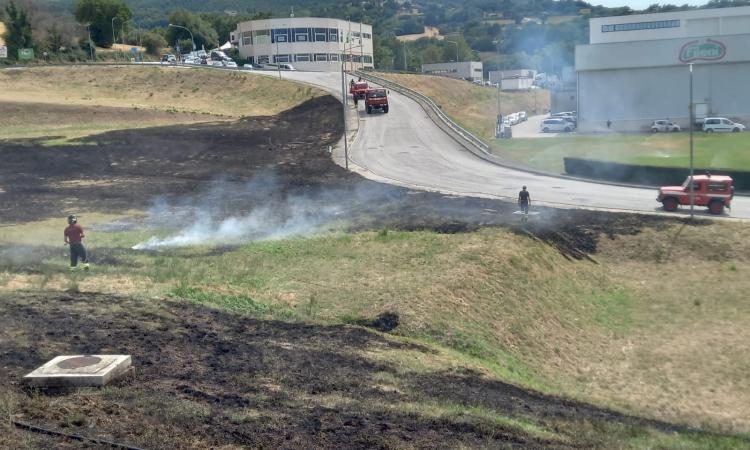 Cingoli, incendio nella zona industriale a due passi dallo stabilimento Fileni (FOTO)