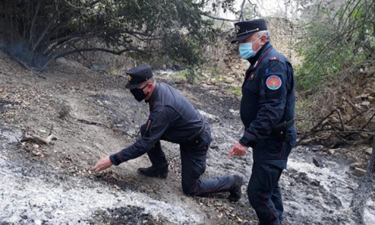 Mogliano, quasi un ettaro di bosco in fiamme: il responsabile è un 63enne, rischia fino a 5 anni di carcere