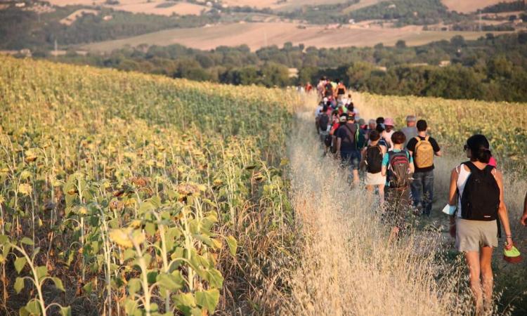 Alla riscoperta dell'Antica Via Romano-Lauretana: oltre 300 in marcia da Serravalle a Treia