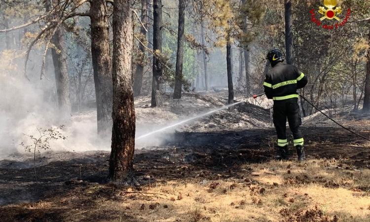 Camerino, vasto incendio in un'area boschiva a Morro: in corso le operazioni di spegnimento