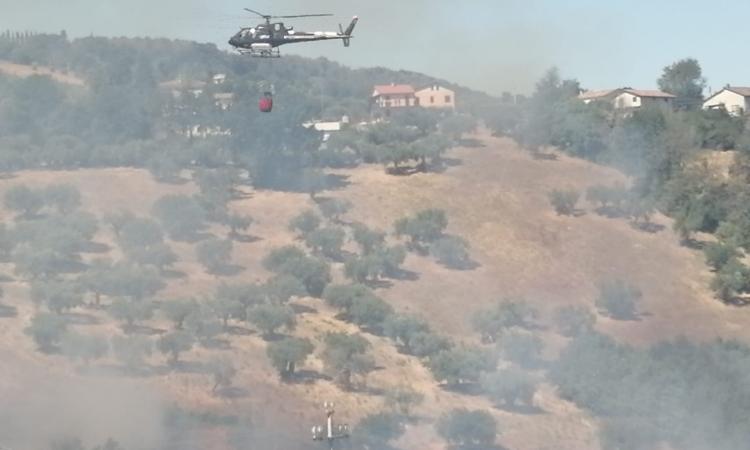 Cingoli, vasto incendio in area boschiva: intervengono i Vigili del Fuoco e l'elicottero (FOTO) Cingoli, vasto incendio in area boschiva: intervengono i Vigili del Fuoco e l'elicottero (FOTO)