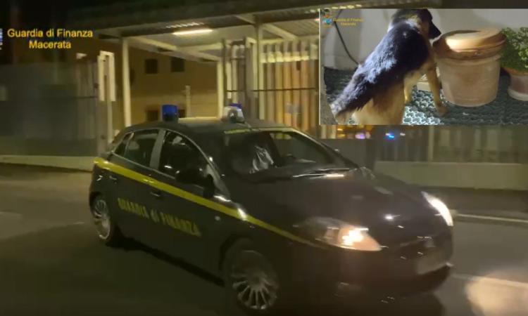 Smantellata fitta rete di spaccio nel Maceratese: arrestati in tre, avevano clienti in tutta la provincia