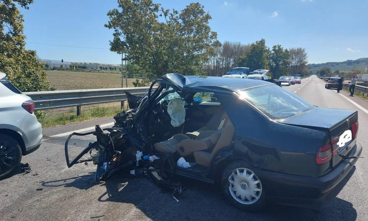 Incidente Statale Adriatica, sale a 2 il bilancio dei morti: Giorgio Pelosi si arrende dopo 3 giorni Incidente Statale Adriatica, sale a 2 il bilancio dei morti: Giorgio Pelosi si arrende dopo 3 giorni