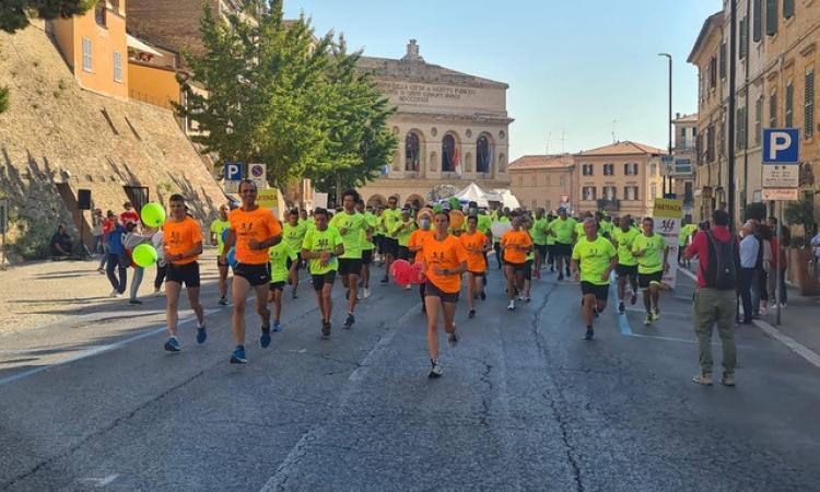 Macerata, oltre 200 partecipanti a CorriAdmo: "Uniti si può fare la differenza" Macerata, oltre 200 partecipanti a CorriAdmo: "Uniti si può fare la differenza"