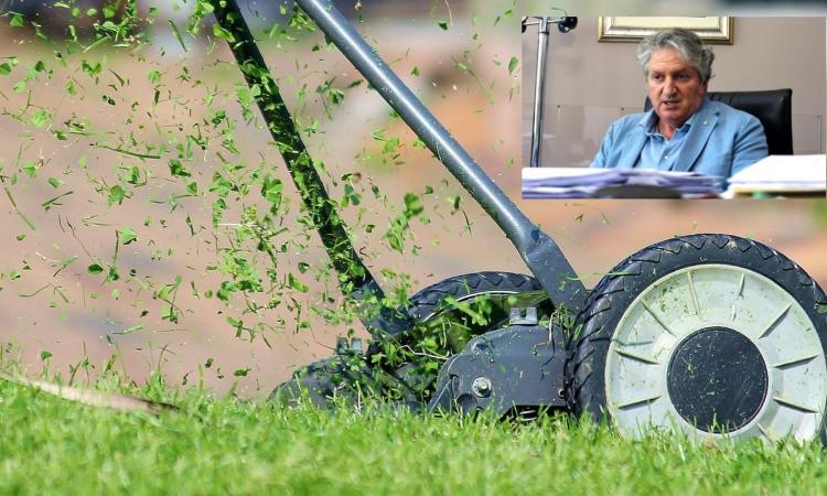 Tolentino, dalla cura del verde alla pulizia dell'area container: gli impieghi per chi percepisce reddito di cittadinanza Tolentino, dalla cura del verde alla pulizia dell'area container: gli impieghi per chi percepisce reddito di cittadinanza