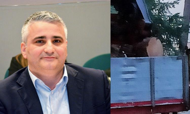 Tolentino, alberi abbattuti ai giardini Lennon. Bisonni: "Non erano malati, ennesima castroneria"