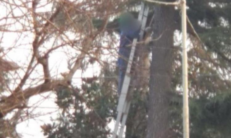 Fa lavori di giardinaggio durante i turni di lavoro: dipendente pubblico scovato dalla Finanza