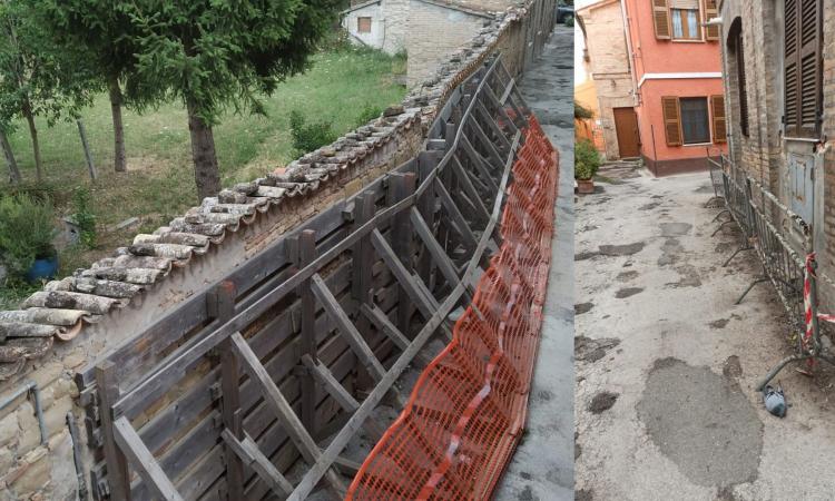 "Degrado e animali morti in pieno centro, situazione gravissima": la denuncia di 'Tolentino Popolare'
