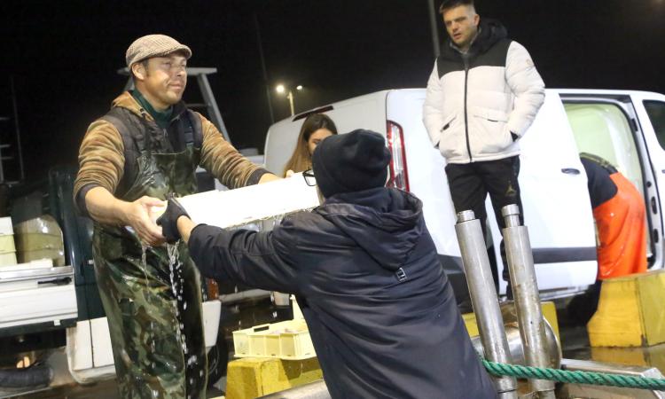Storie - Carmine, il racconto della notte di un ristoratore tra aste e pescherecci (FOTO e VIDEO) Storie - Carmine, il racconto della notte di un ristoratore tra aste e pescherecci (FOTO e VIDEO)