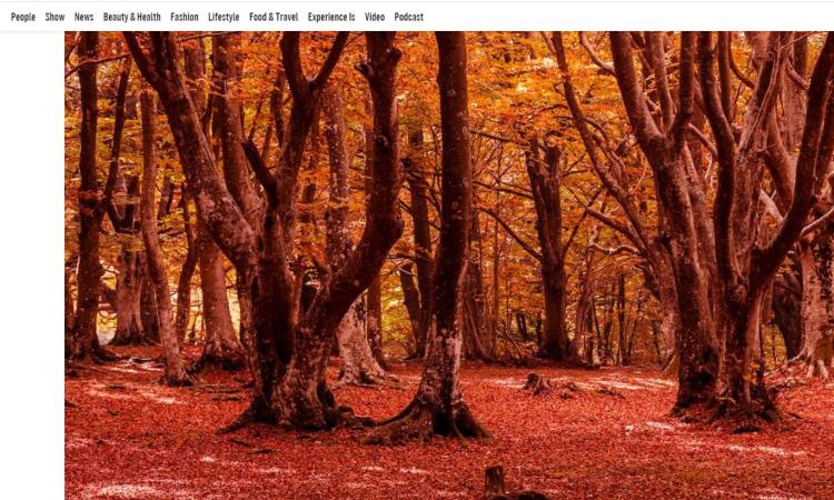 La riserva naturale del Monte San Vicino e Canfaito sulle pagine di Vanity Fair La riserva naturale del Monte San Vicino e Canfaito sulle pagine di Vanity Fair