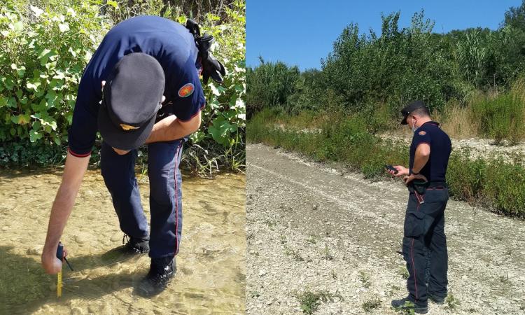 Un tratto del fiume Chienti in secca: i dirigenti di due aziende rischiano fino a 7 anni di carcere