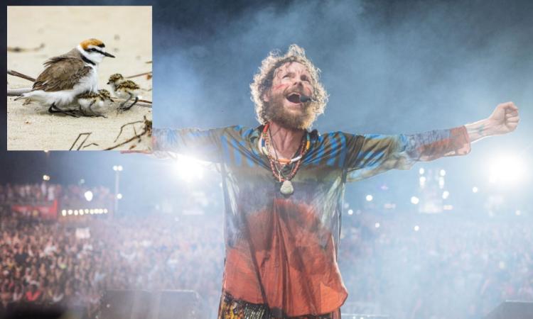 Il 'no' della Lipu al Jova Beach Party 2022: "Non sono discoteche, ma luoghi da proteggere" Il 'no' della Lipu al Jova Beach Party 2022: "Non sono discoteche, ma luoghi da proteggere"