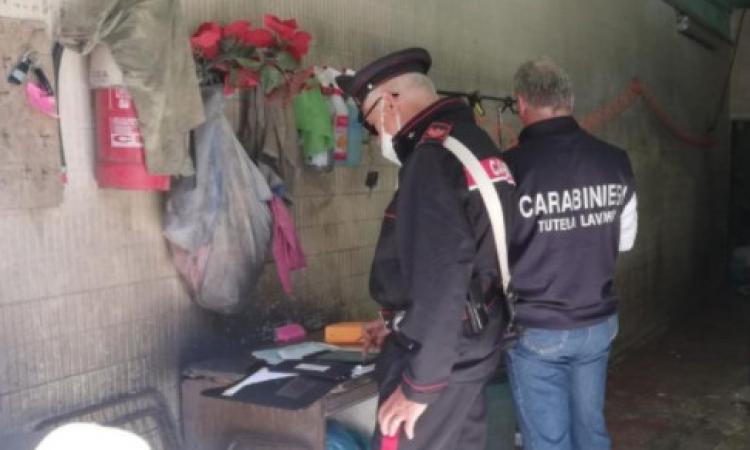 Monte San Giusto, lavoratore in nero: attività sospesa e multa di 12mila euro per due tomaifici Monte San Giusto, lavoratore in nero: attività sospesa e multa di 12mila euro per due tomaifici