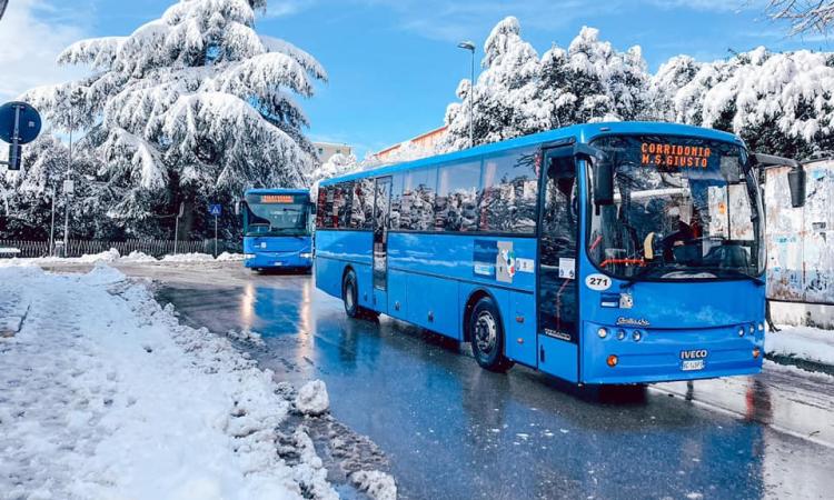 Contram, dal 6 dicembre obbligo di green pass per chi sale a bordo: previste verifiche a campione