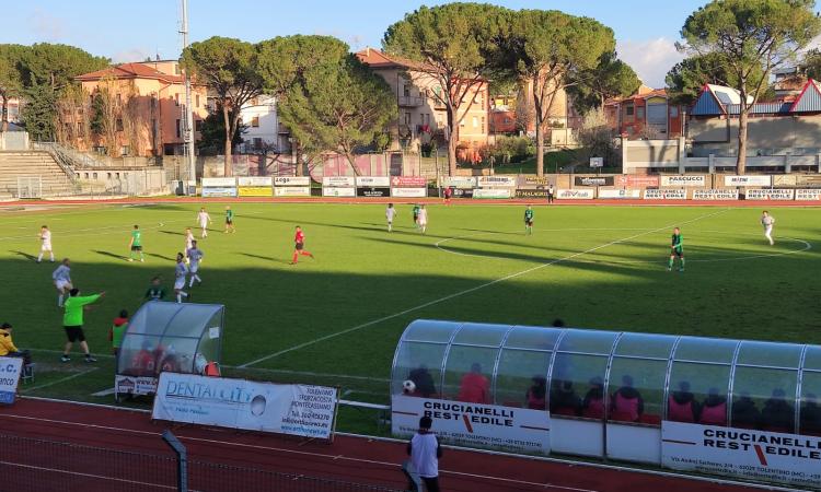 Serie D, il Tolentino continua a volare in casa: tris al Castelnuovo e aggancio alla zona playoff