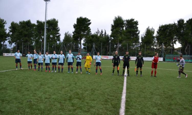 La Vis Civitanova ottiene un altro punto importante a Portoguraro e continua muovere la classifica La Vis Civitanova ottiene un altro punto importante a Portoguraro e continua muovere la classifica