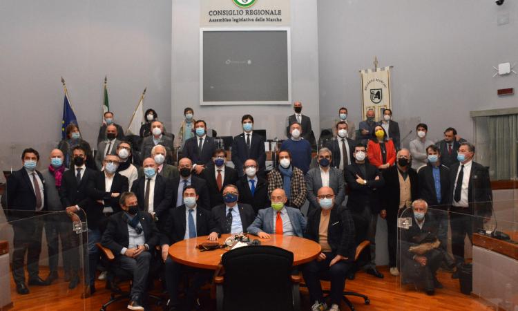 Marche, il Distretto Biologico Unico diventa realtà. "Così torniamo protagonisti nello sviluppo"