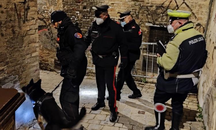Macerata, cliente senza green pass e alimenti senza tracciabilità: sanzioni nel giovedì della 'movida'