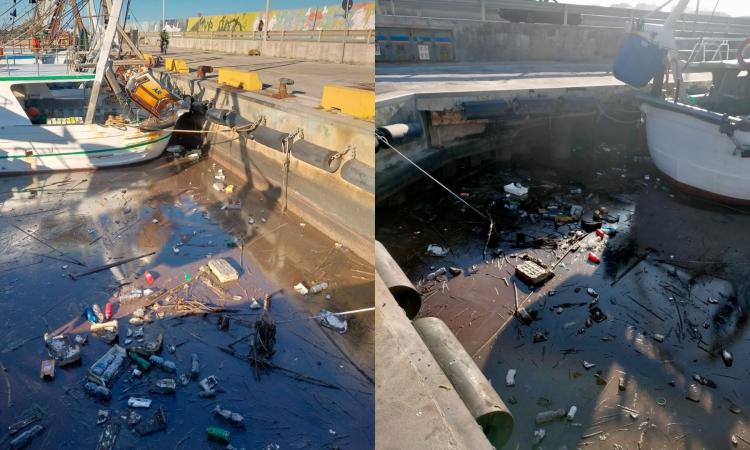 Civitanova, degrado e sporcizia al molo sud: in attesa dei cestini subacquei, i problemi restano Civitanova, degrado e sporcizia al molo sud: in attesa dei cestini subacquei, i problemi restano