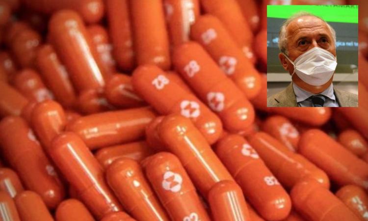 Pillola contro il Covid, consegnate alle Marche 600 confezioni: ecco a chi sono destinate Pillola contro il Covid, consegnate alle Marche 600 confezioni: ecco a chi sono destinate