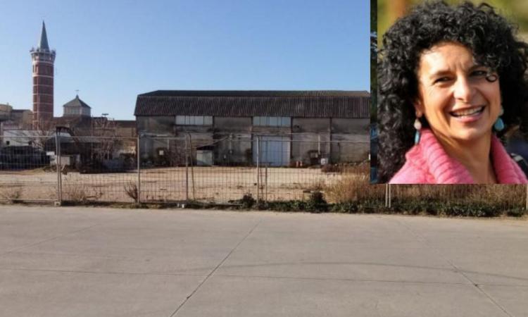 Civitanova, Paglialunga: "I 120 parcheggi in zona porto? Triste propaganda elettorale" Civitanova, Paglialunga: "I 120 parcheggi in zona porto? Triste propaganda elettorale"