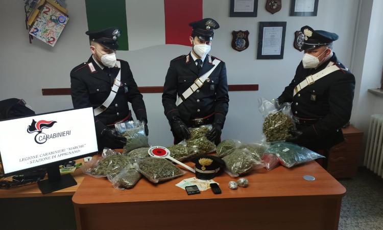 Appignano, sorpreso con tre kg di marijuana in casa: in manette pusher 36enne