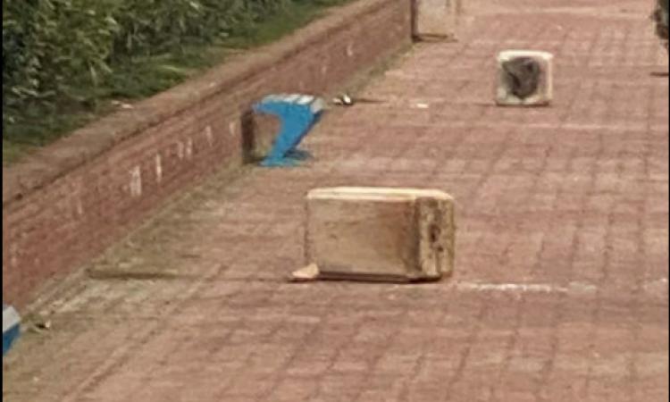 Potenza Picena, scardinati i raccoglitori. Rifiuti abbandonati sul lungomare: "Vero atto vandalico"