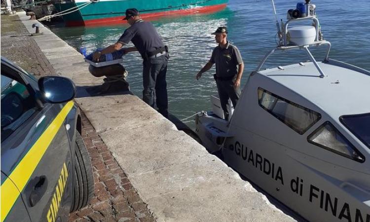 Volevano vendere quasi due quintali di vongole senza documenti sanitari: tre denunciati Volevano vendere quasi due quintali di vongole senza documenti sanitari: tre denunciati