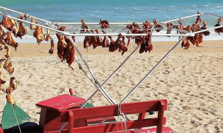 Potenza Picena, in spiaggia uno stendino con pezzi di carne di pollo: individuata la responsabile