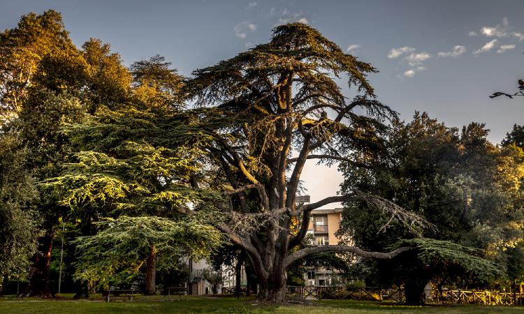 Macerata, Villa Cozza e Villa Lauri: Comune, Ircr e Unimc alla ricerca di fondi del Pnrr