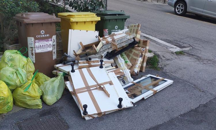Macerata, rifiuti abbandonati e bisogni del cane non raccolti: 43 multati Macerata, rifiuti abbandonati e bisogni del cane non raccolti: 43 multati
