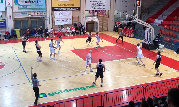 Virtus Civitanova, cuore e sudore non bastano. Senigallia si aggiudica derby Virtus Civitanova, cuore e sudore non bastano. Senigallia si aggiudica derby