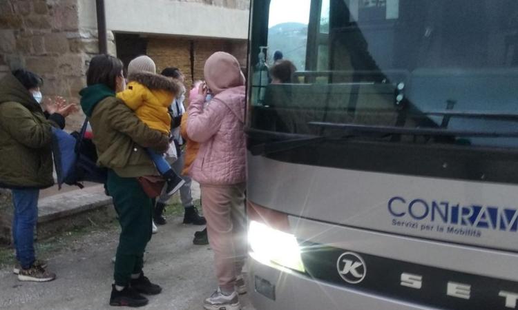 Guerra in Ucraina, Contram: "Minibus a disposizione dei giovani che vogliono entrare nelle Marche" Guerra in Ucraina, Contram: "Minibus a disposizione dei giovani che vogliono entrare nelle Marche"