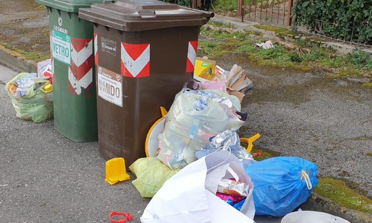 Porto Recanati, via i cassonetti rifiuti lasciati per strada: "Procederemo con le sanzioni" Porto Recanati, via i cassonetti rifiuti lasciati per strada: "Procederemo con le sanzioni"