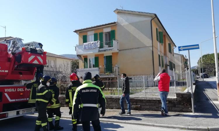 San Severino, pitbull aggredisce due donne in casa: una è grave San Severino, pitbull aggredisce due donne in casa: una è grave