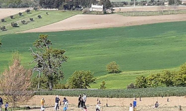Recanati, un bosco alla memoria delle vittime del Covid-19
