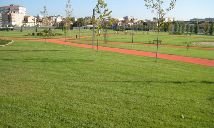 Civitanova, un ulivo in memoria delle vittime di Coronavirus