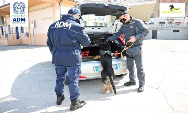 L'eccezionale fiuto di 'Isabel' scova 30mila euro nascosti in un trolley: fermato cittadino greco