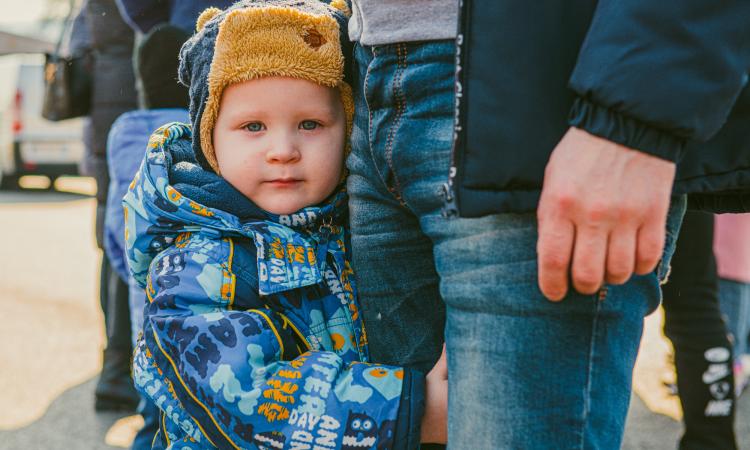Muccia spalanca le porte ai profughi ucraini: le famiglie saranno accolte nelle Sae Muccia spalanca le porte ai profughi ucraini: le famiglie saranno accolte nelle Sae