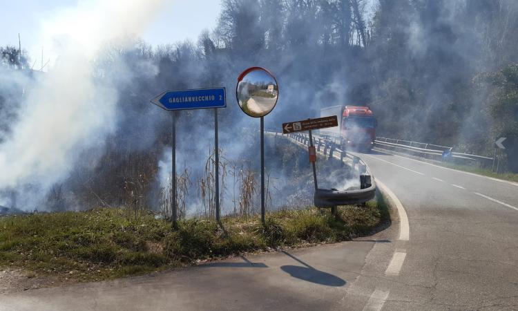 Incendi a San Severino e Matelica: a fuoco sterpaglie e arbusti, fumo invade carreggiata (FOTO)
