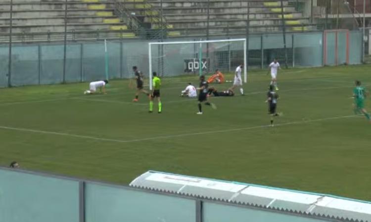 Serie D, Tolentino fa il blitz a Vasto. Il ritorno al gol di Padovani vale il secondo posto