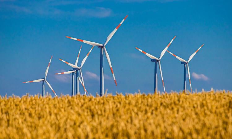 L’Italia è davvero un posto green? La fotografia del nostro Paese in un’infografica L’Italia è davvero un posto green? La fotografia del nostro Paese in un’infografica