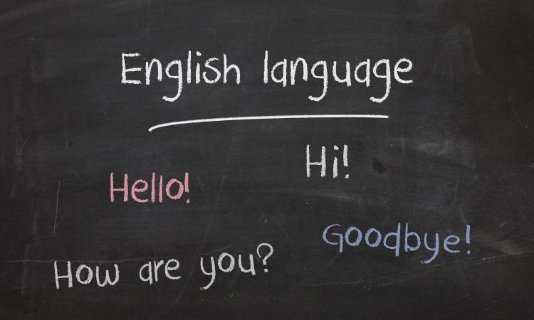 Studiare una lingua straniera online: pro e contro da conoscere