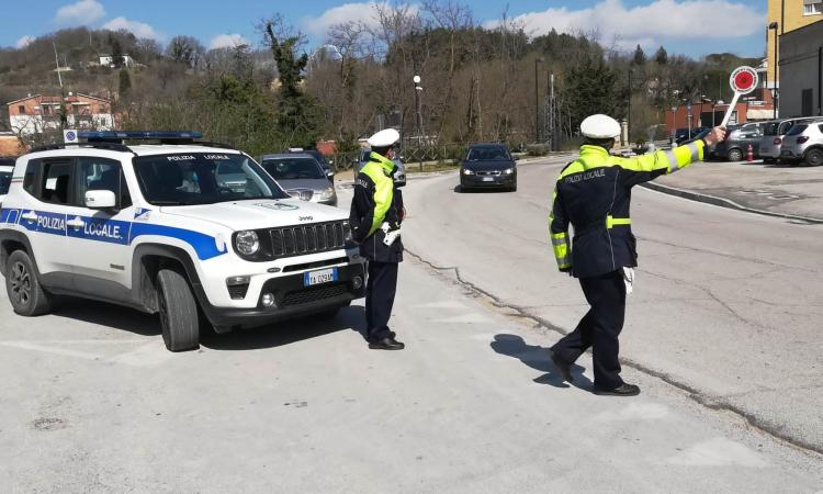 Licenze prese a San Severino, ma lavorano a Roma: denunciati due autisti Ncc