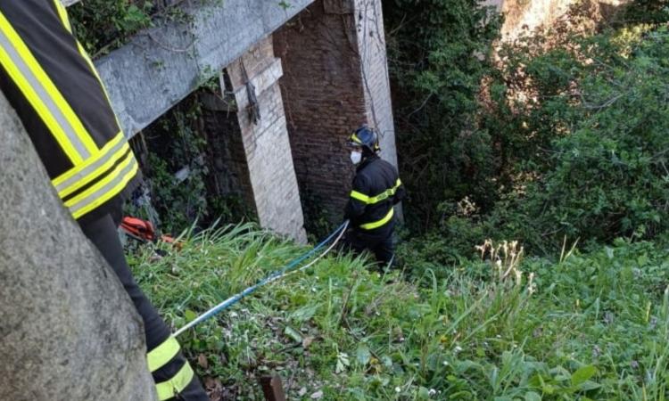 Tragedia sfiorata a San Severino Marche: anziano salvato dopo essere caduto nel fiume (FOTO)