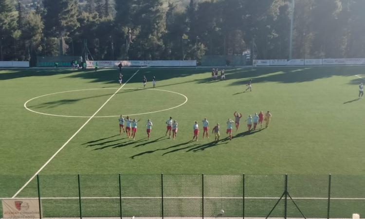 Vis Civitanova, continua la lotta per la salvezza. Un altro successo contro Bologna, battuta 2 a 0