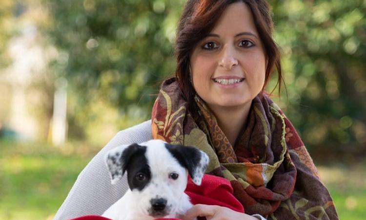 Canile di Macerata, i dipendenti rischiano il posto di lavoro. "Chi penserà agli animali?" Canile di Macerata, i dipendenti rischiano il posto di lavoro. "Chi penserà agli animali?"