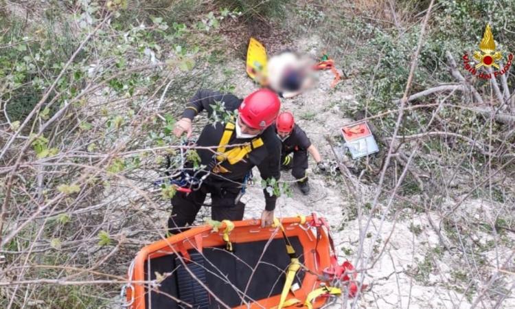 Precipita in un dirupo per 20 metri: agricoltore soccorso in eliambulanza Precipita in un dirupo per 20 metri: agricoltore soccorso in eliambulanza
